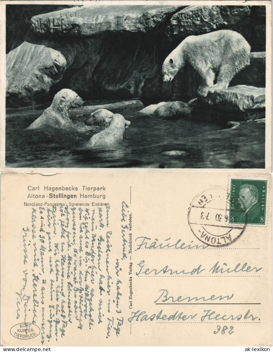 Stellingen-Hamburg Tierpark Hagenbeck Nordland Spielende Eisbären Eisbär 1930 - Stellingen