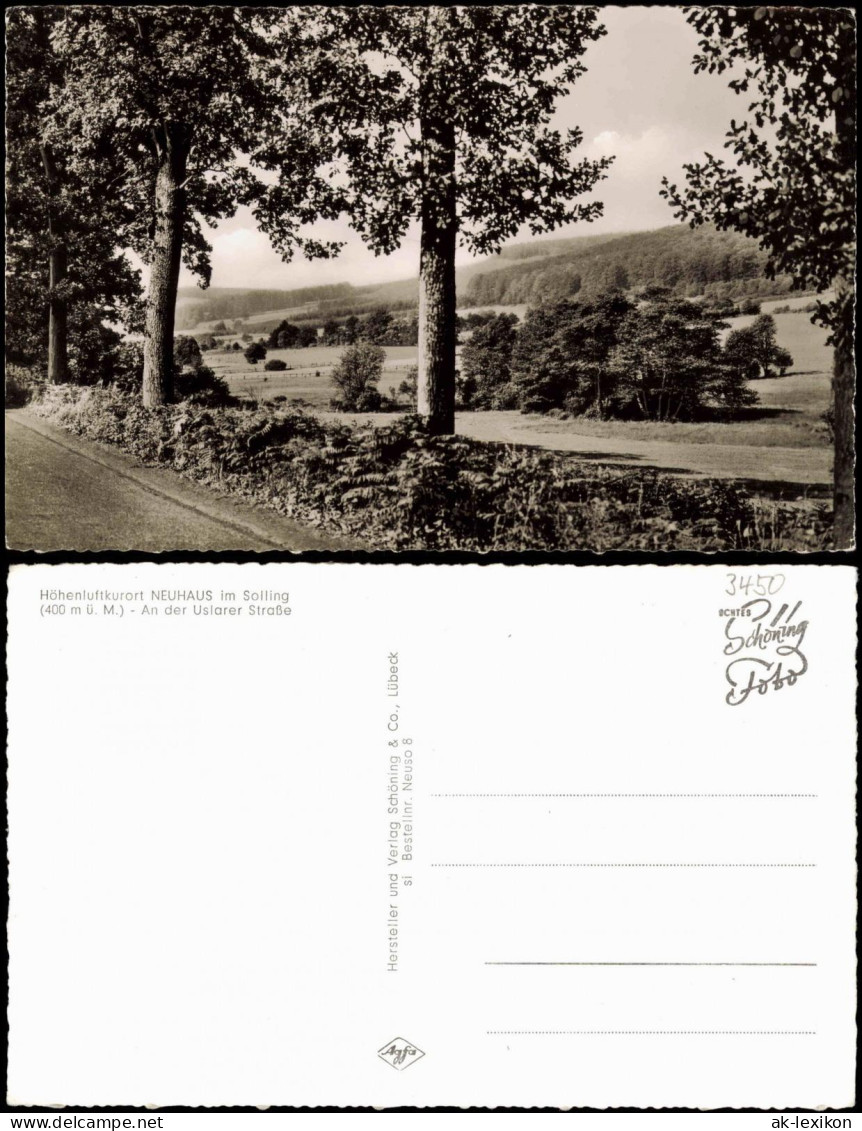 Neuhaus Im Solling-Holzminden An Der Uslarer Straße Panorama-Ansicht 1960 - Holzminden