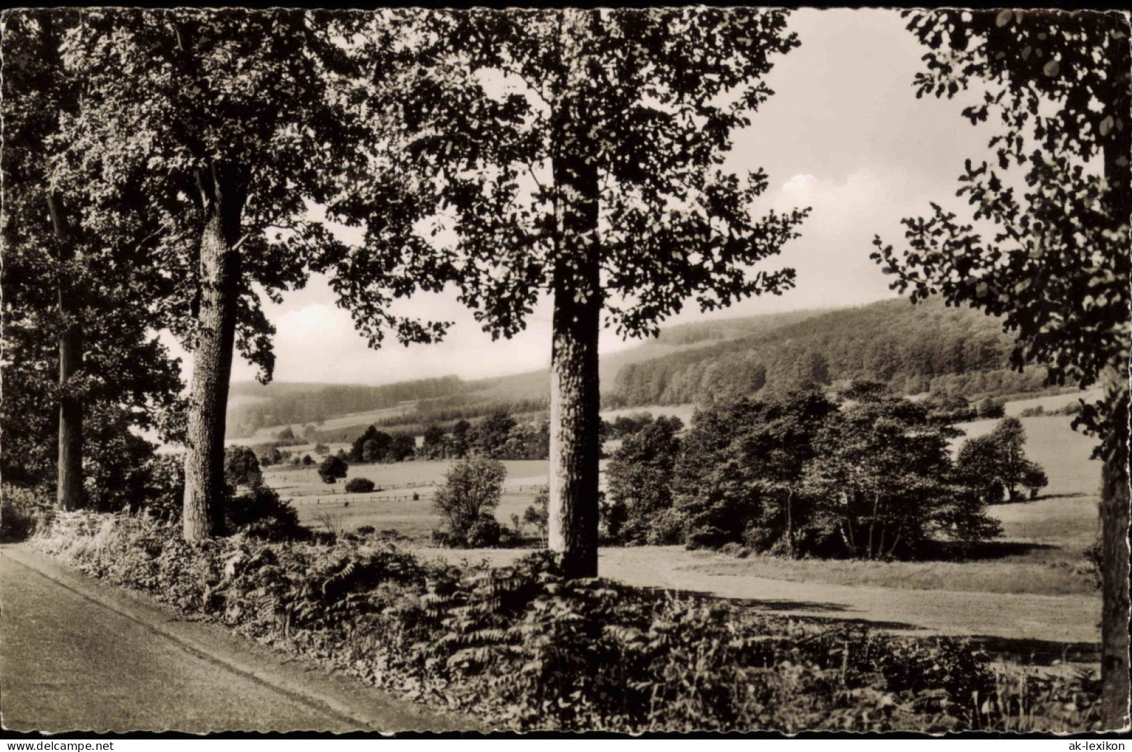 Neuhaus Im Solling-Holzminden An Der Uslarer Straße Panorama-Ansicht 1960 - Holzminden