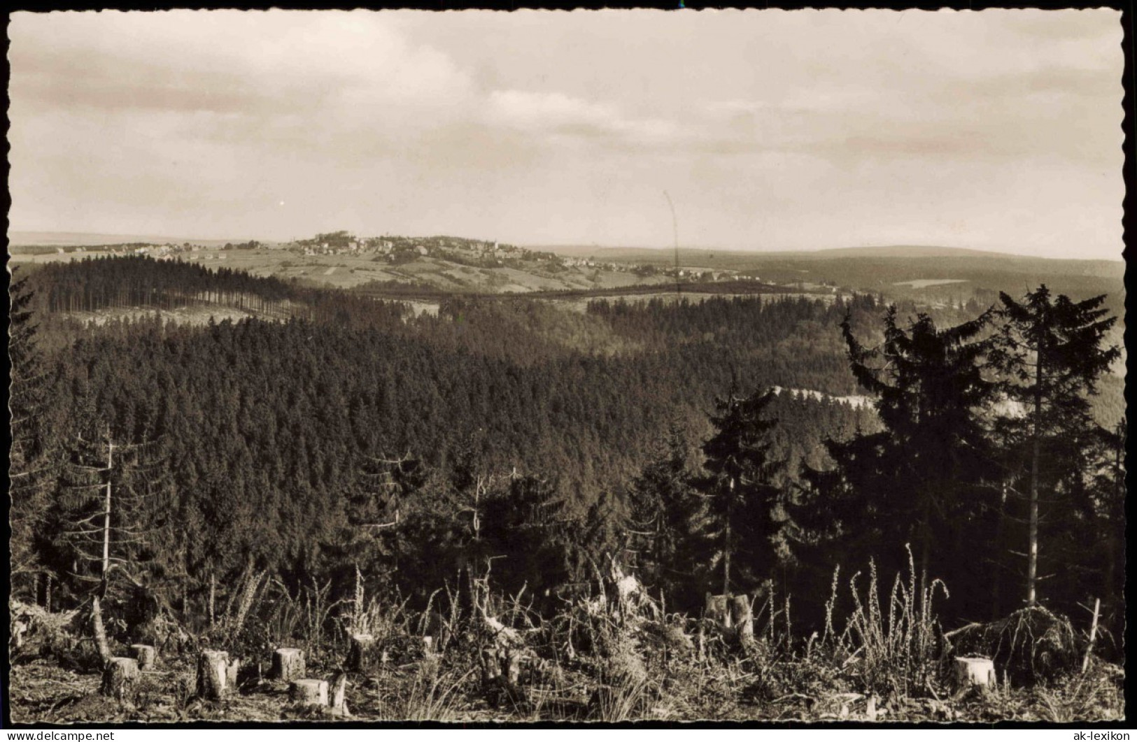 Hohegeiß-Braunlage Panorama Hochharz Blick Vom Spitzenberg 1960 - Braunlage