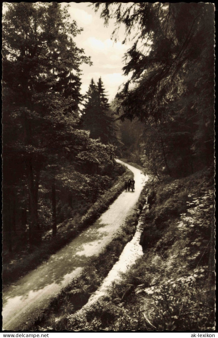 Ansichtskarte  Wanderweg Im Harz Oberharz (Allgemein) 1965 - Non Classificati