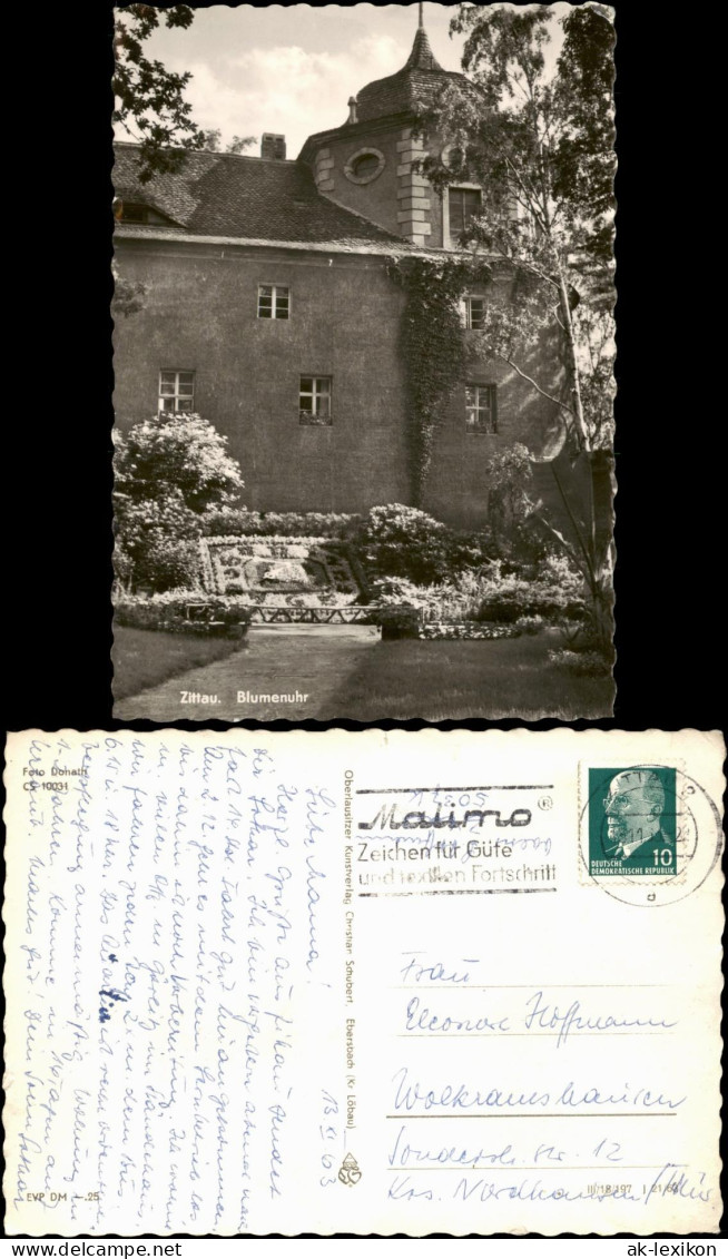 Ansichtskarte Zittau Blumenuhr 1963 - Zittau