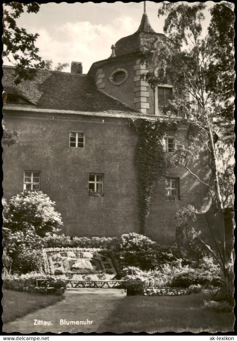 Ansichtskarte Zittau Blumenuhr 1963 - Zittau