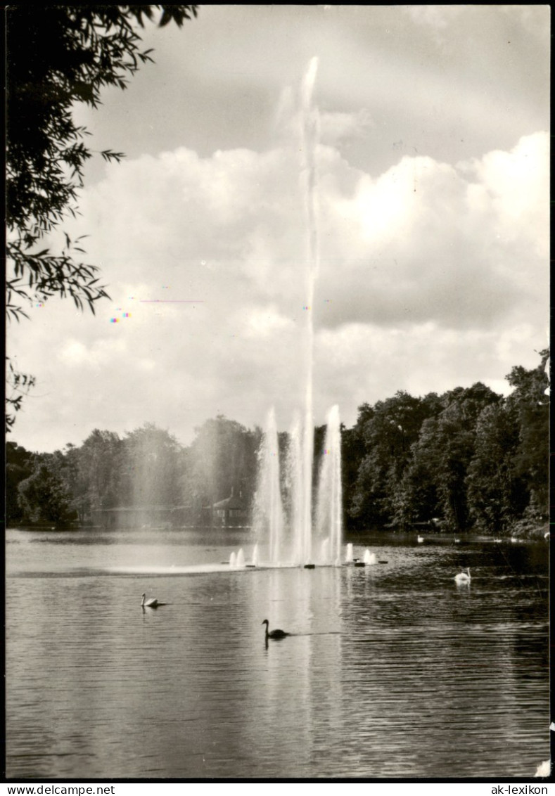 Ansichtskarte Zwickau Schwanenteich, Fontäne - Fotokarte 1979 - Zwickau