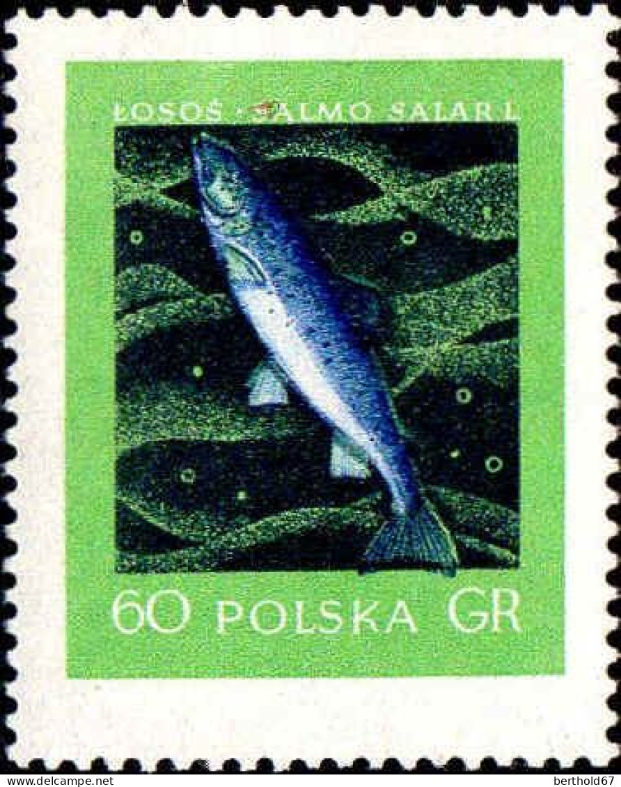 Pologne Poste N** Yv: 929 Mi:1052 Saumon - Unused Stamps