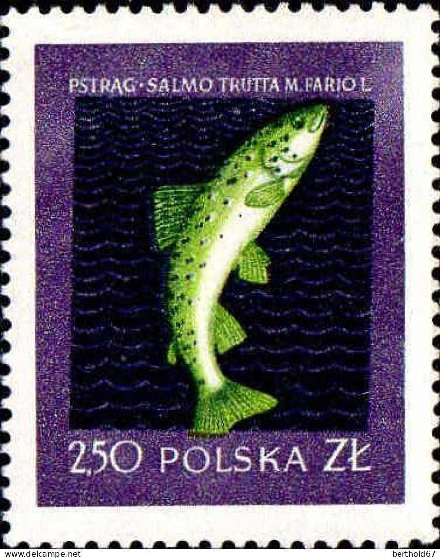 Pologne Poste N** Yv: 931 Mi:1054 Truite Saumonée - Unused Stamps