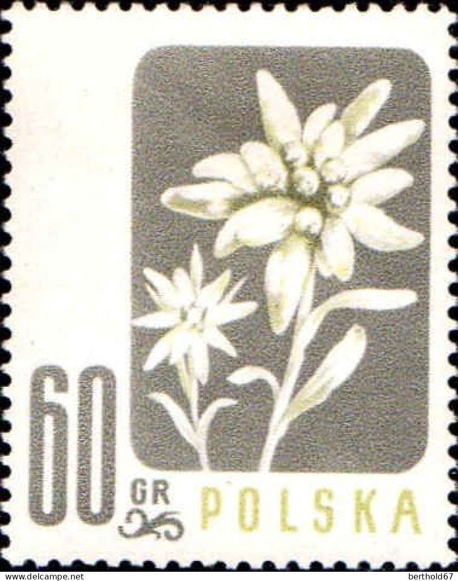 Pologne Poste N** Yv: 904/907 Préservation De La Flore - Ongebruikt
