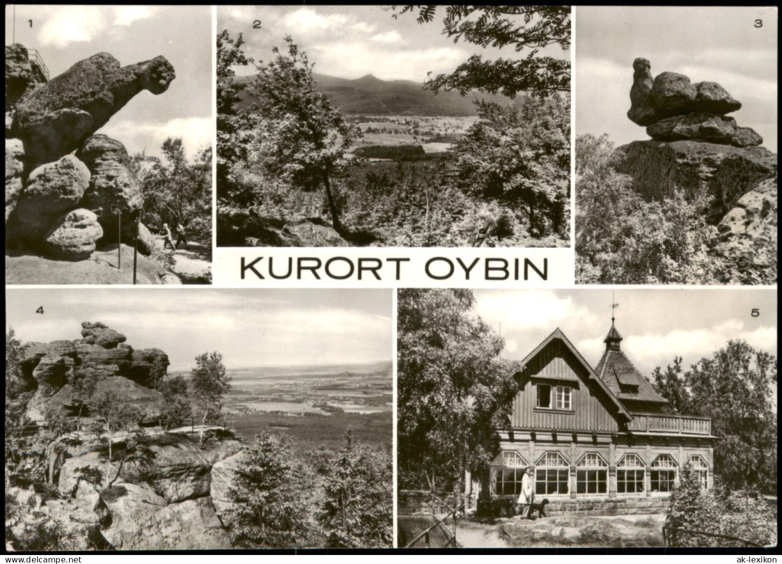 Ansichtskarte Oybin Töpfer, Baude, Henne, Papagei, Hochwald 1976 - Oybin