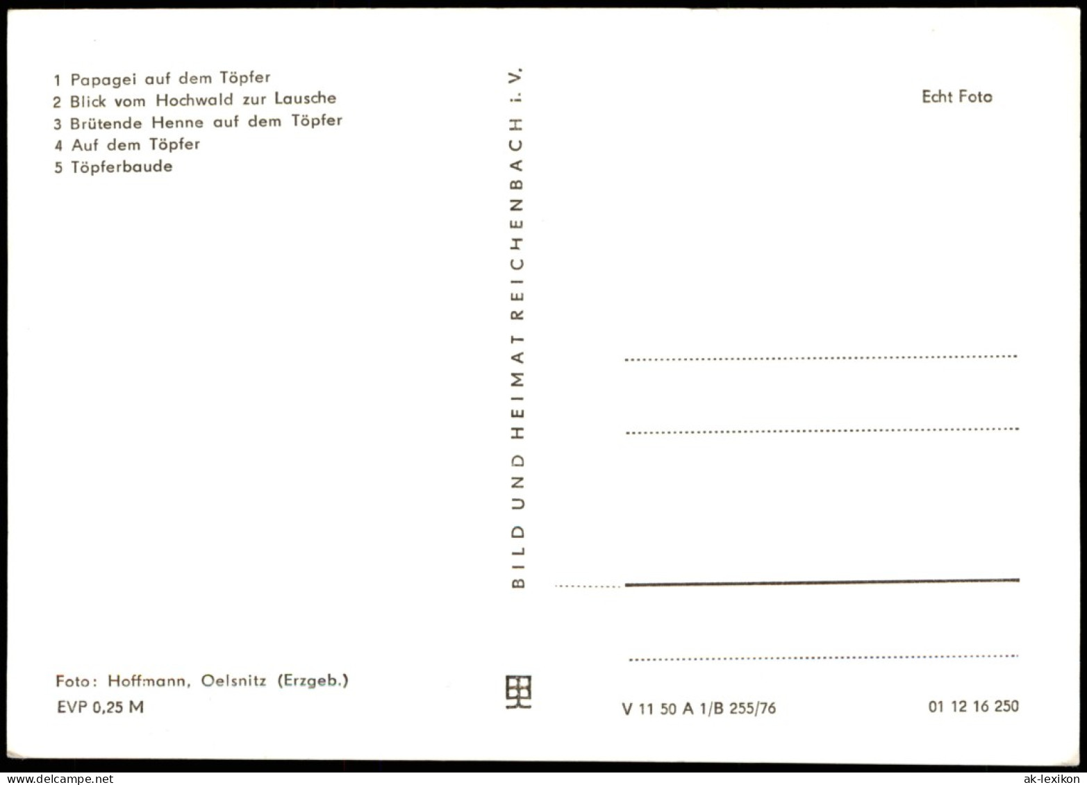 Ansichtskarte Oybin Töpfer, Baude, Henne, Papagei, Hochwald 1976 - Oybin