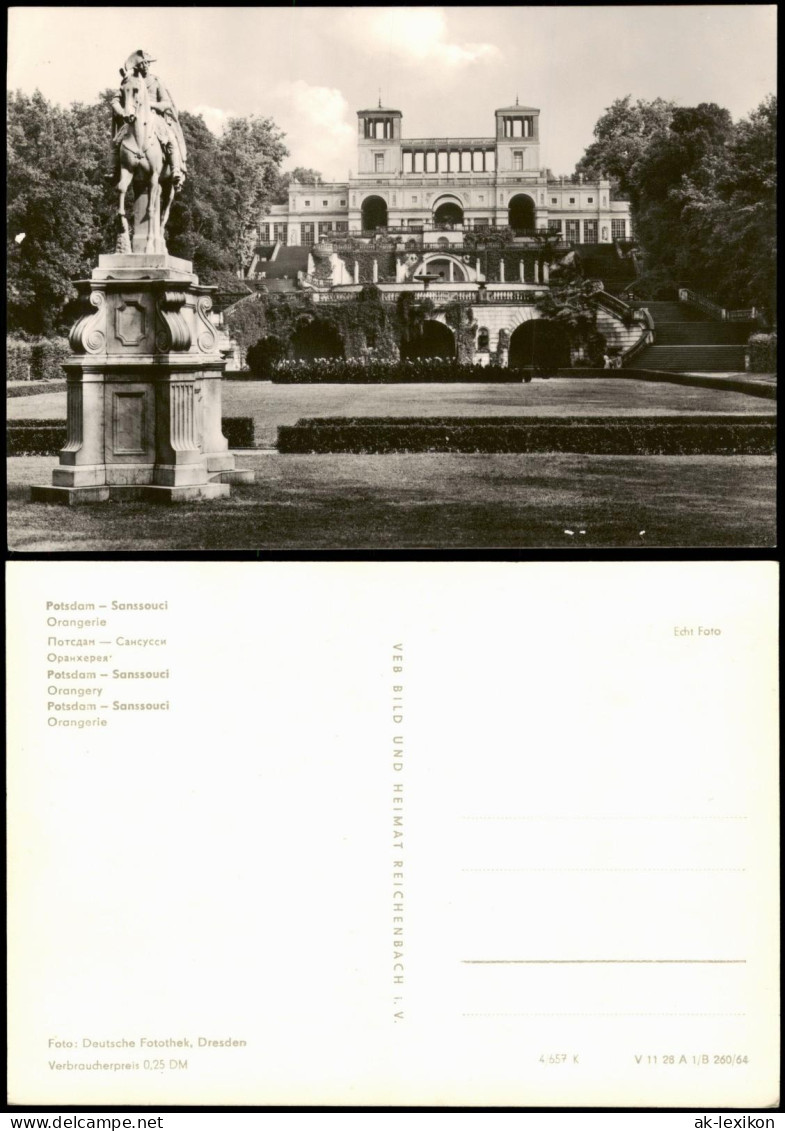 Ansichtskarte Potsdam Sanssouci Orangerie Schloss Park DDR-Zeit 1964 - Potsdam