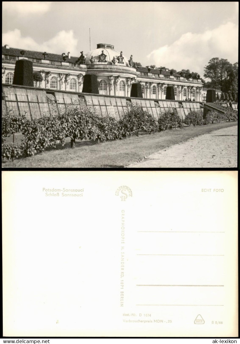 Ansichtskarte Potsdam Schloss Sanssouci 1966 - Potsdam