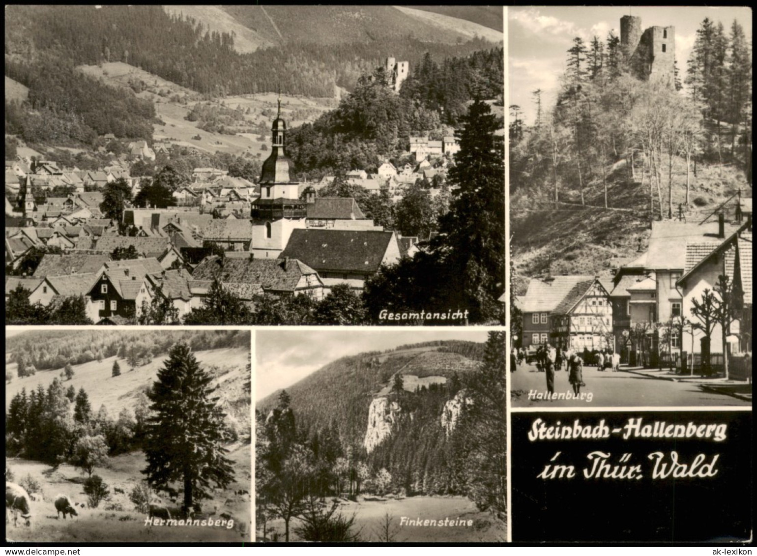 Steinbach-Hallenberg Panorama-Ansicht, Hallenburg, Hermannsberg 1975 - Steinbach-Hallenberg