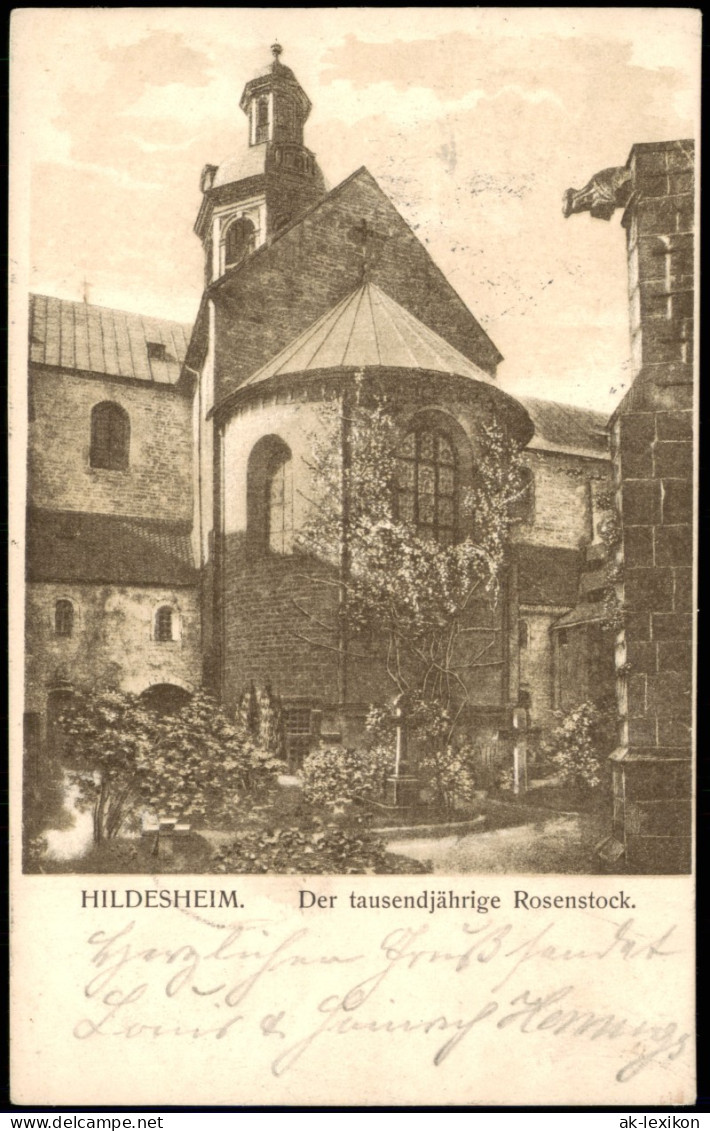 Ansichtskarte Hildesheim Rosenstock Der Tausendjährige Rosenstock 1903 - Hildesheim