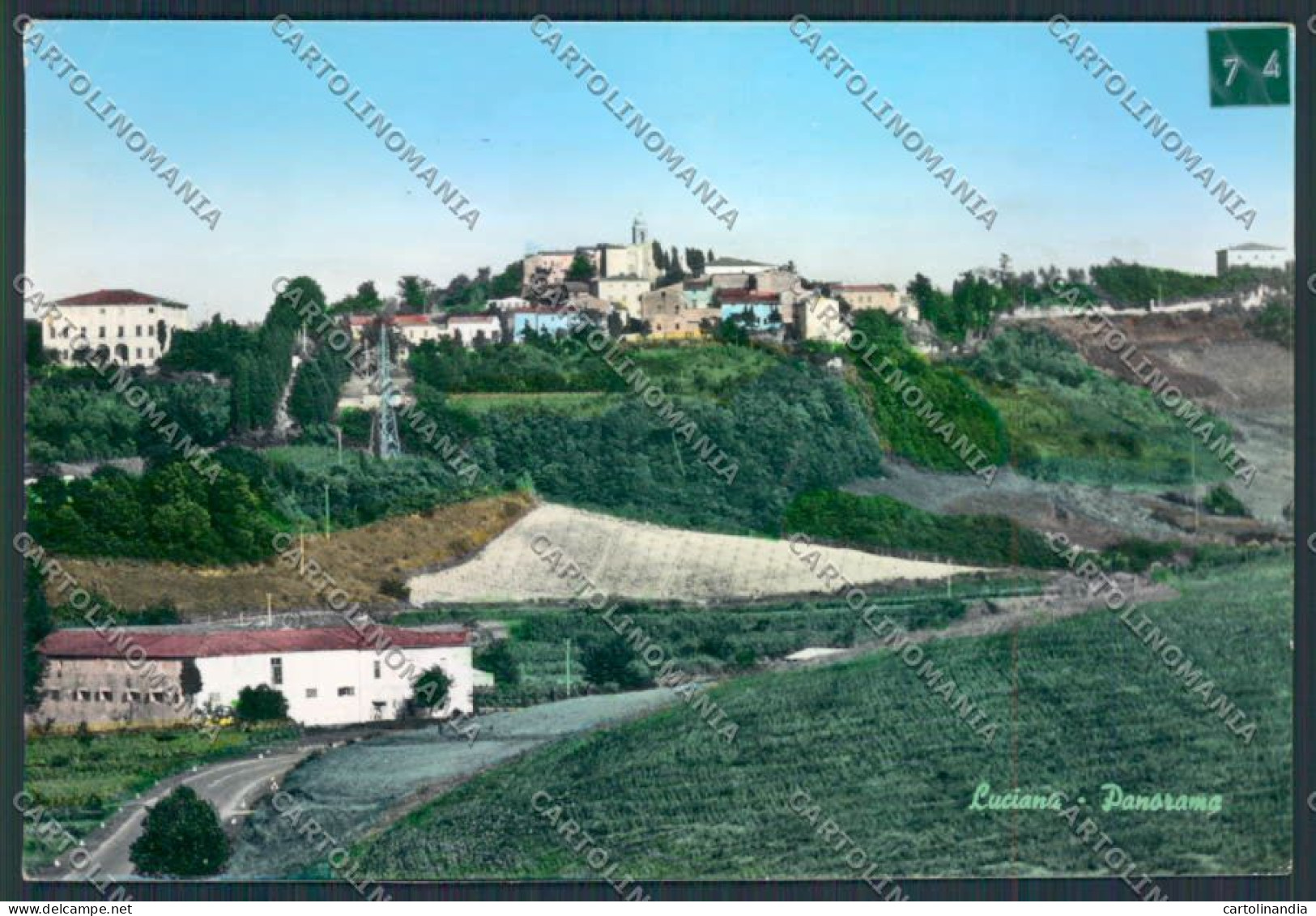 Pisa Luciana ADESIVO Foto FG Cartolina MV4378 - Pisa