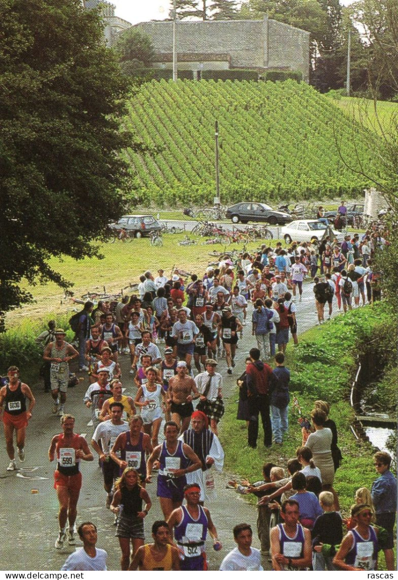 CLB - ATHLETISME - CPM - MARATHON DES CHATEAUX DU MEDOC ET DES GRAVES - Atletismo