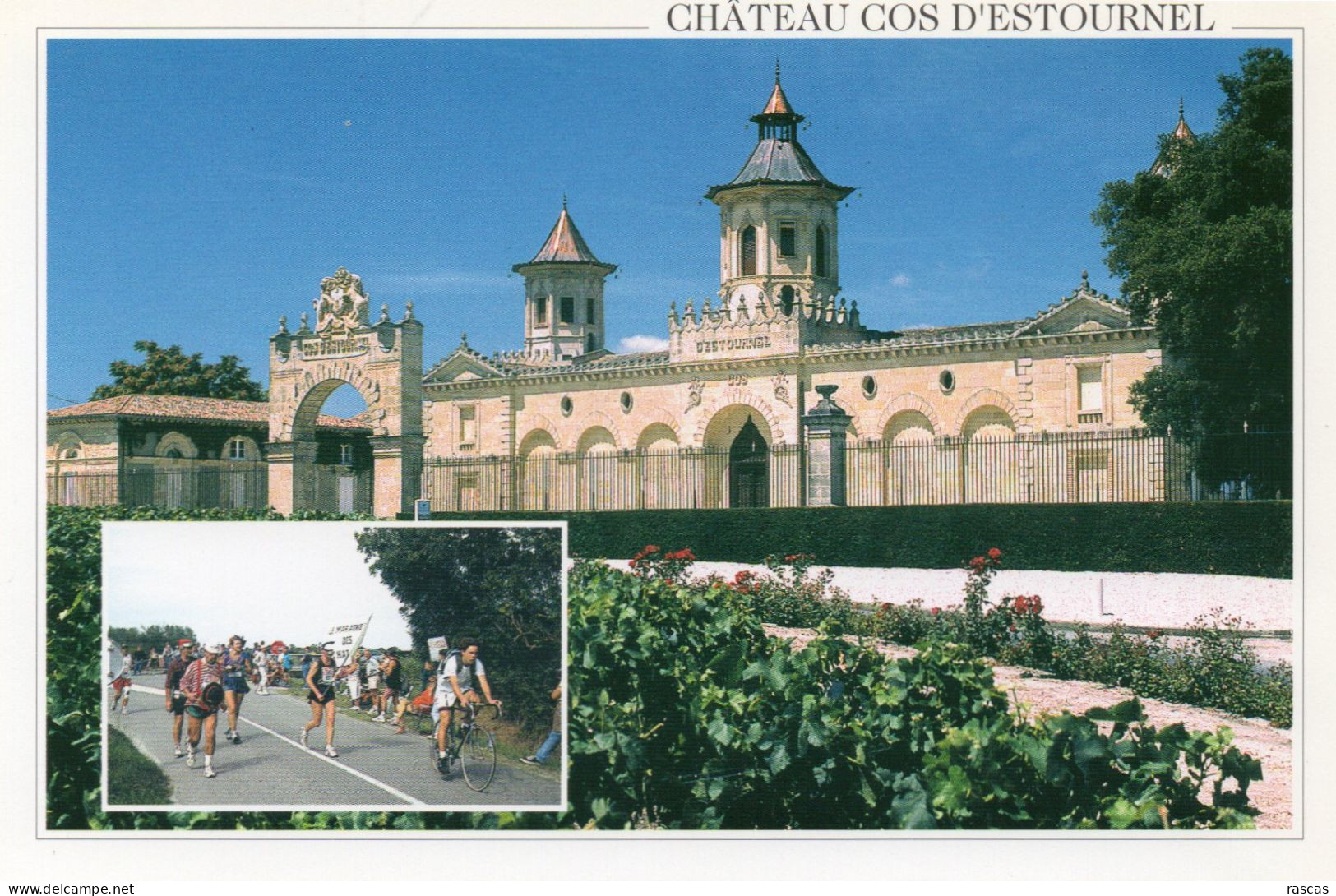 CLB - ATHLETISME - CPM - MARATHON DES CHATEAUX DU MEDOC ET DES GRAVES - CHATEAU COS D'ESTOURNEL - Atletica