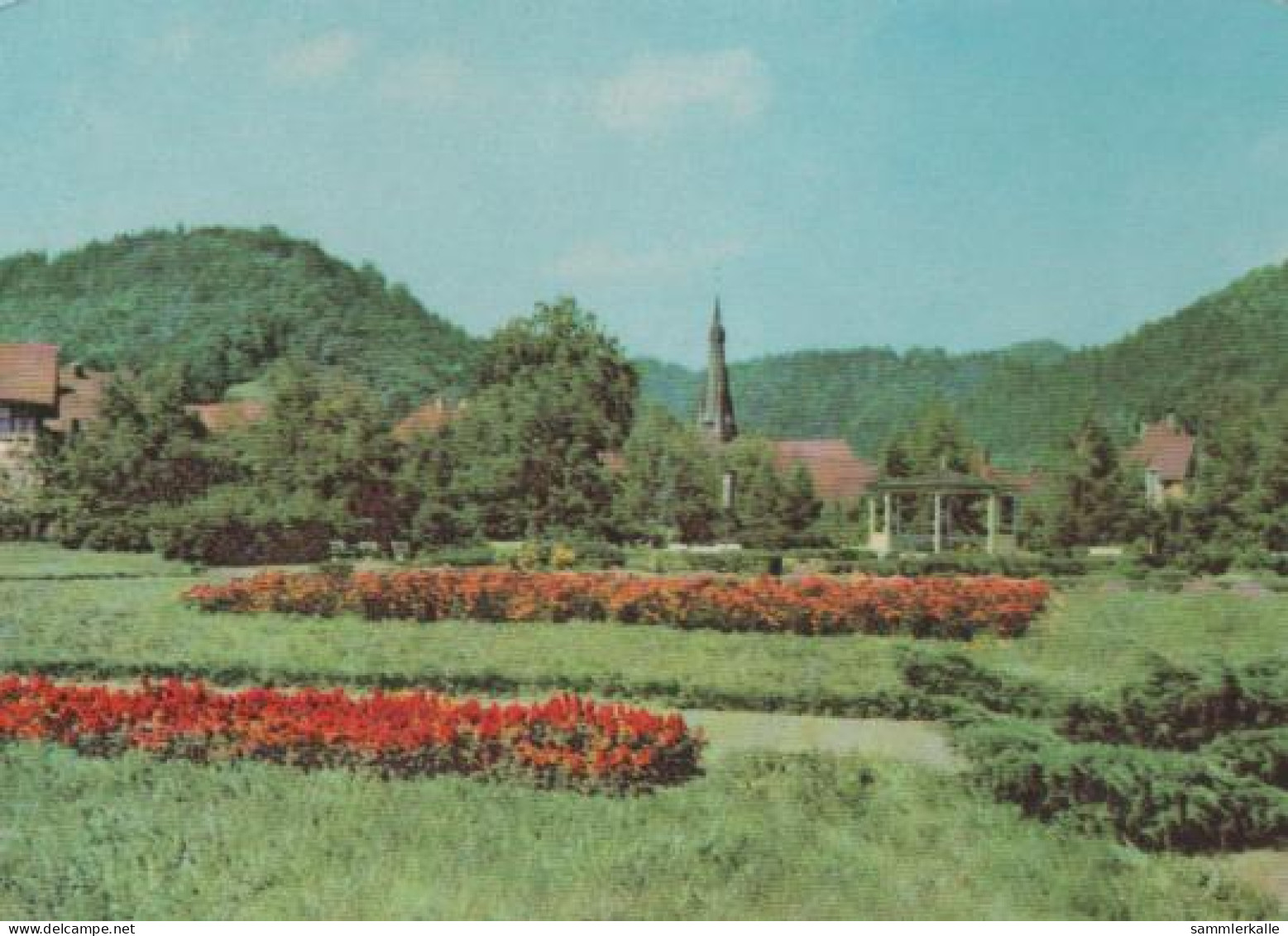 11095 - Ilfeld - Kurpark - Ca. 1965 - Nordhausen