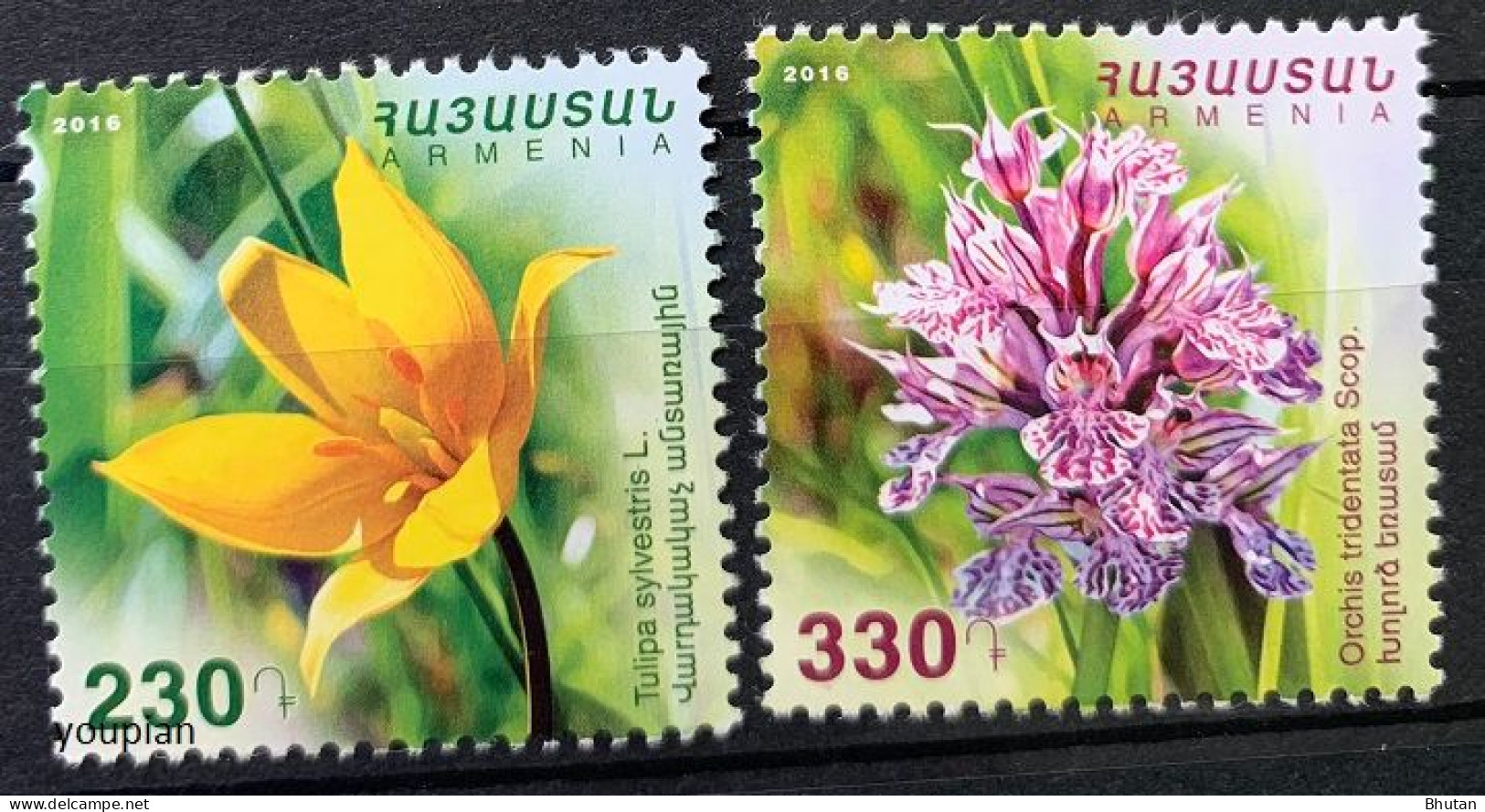 Armenia 2016, Flowers, MNH Stamps Set - Armenië