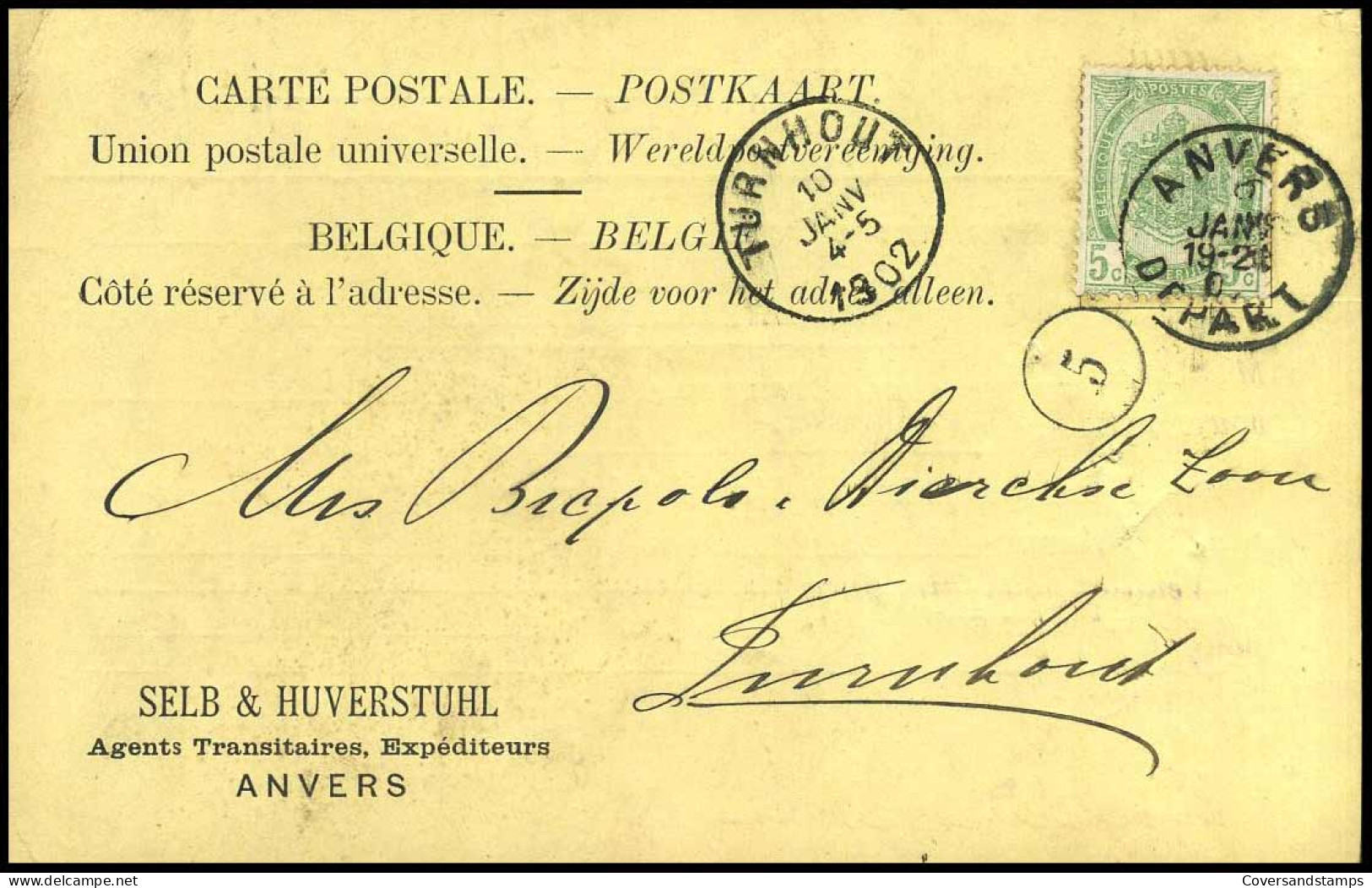 68 Op Carte Postale Van Anvers Naar Turnhout Op 10/01/1902 - 'Selb & Huverstuhl, Agents Transitaires, Anvers' - 1893-1907 Armarios