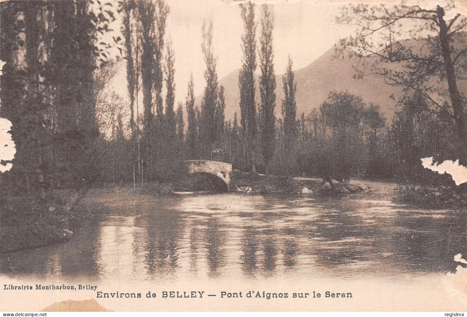 01-BELLEY-N°T1103-G/0237 - Belley
