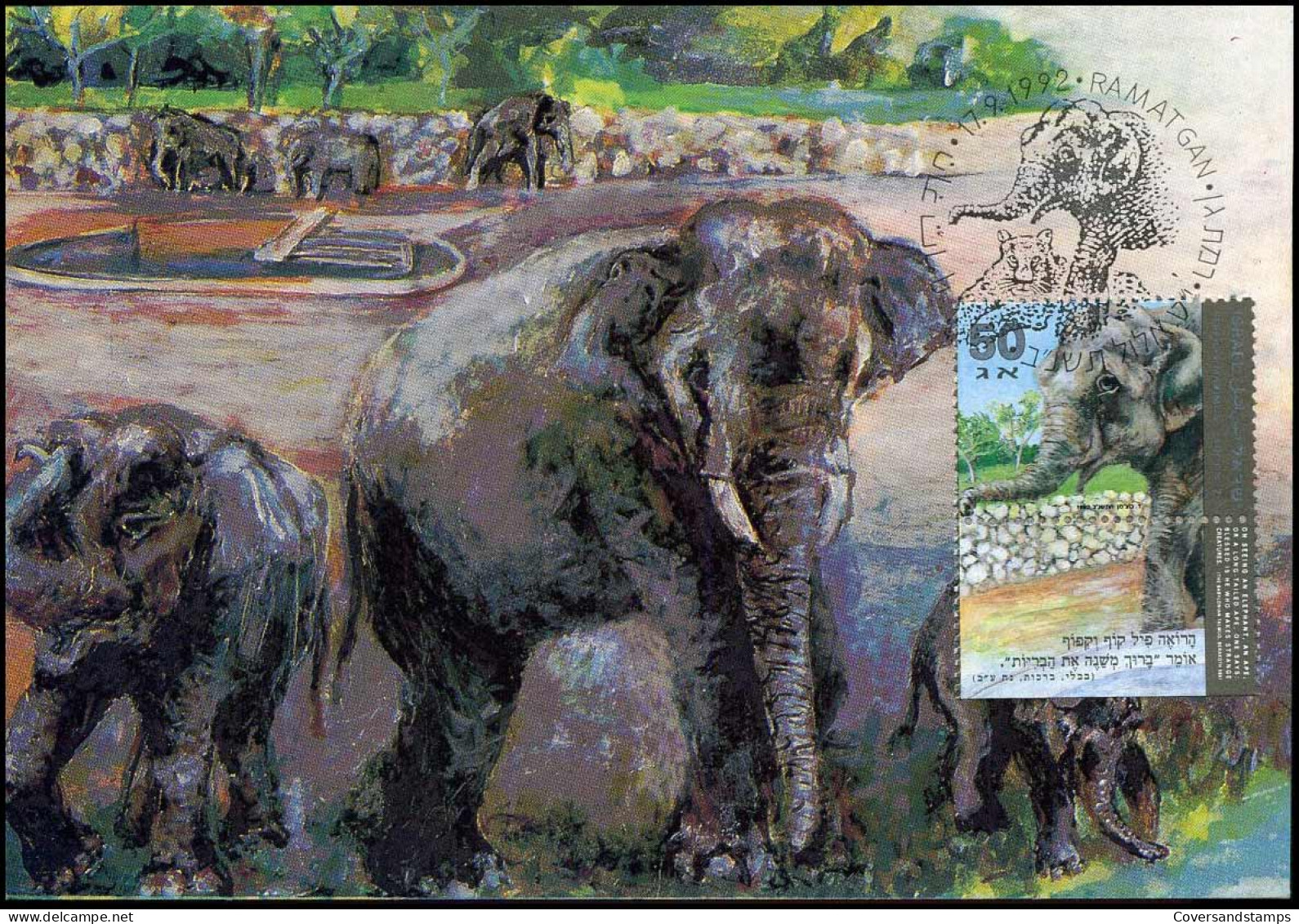 Maximum Card - Elefphants - Maximumkaarten