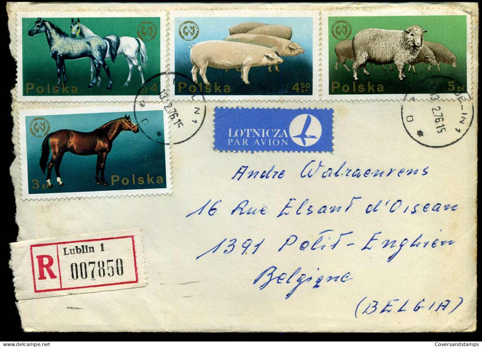 Registered Cover To Petit-Enghien, Belgium  - Storia Postale