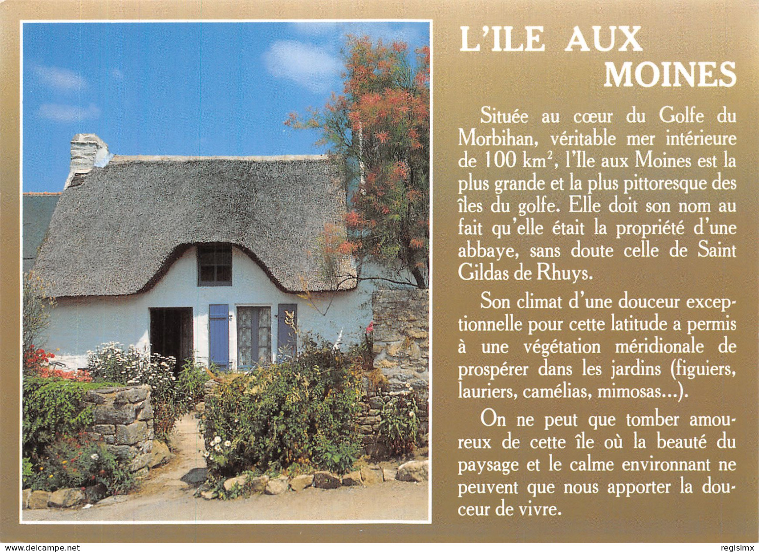 56-ILE AUX MOINES-N°T1107-A/0099 - Ile Aux Moines