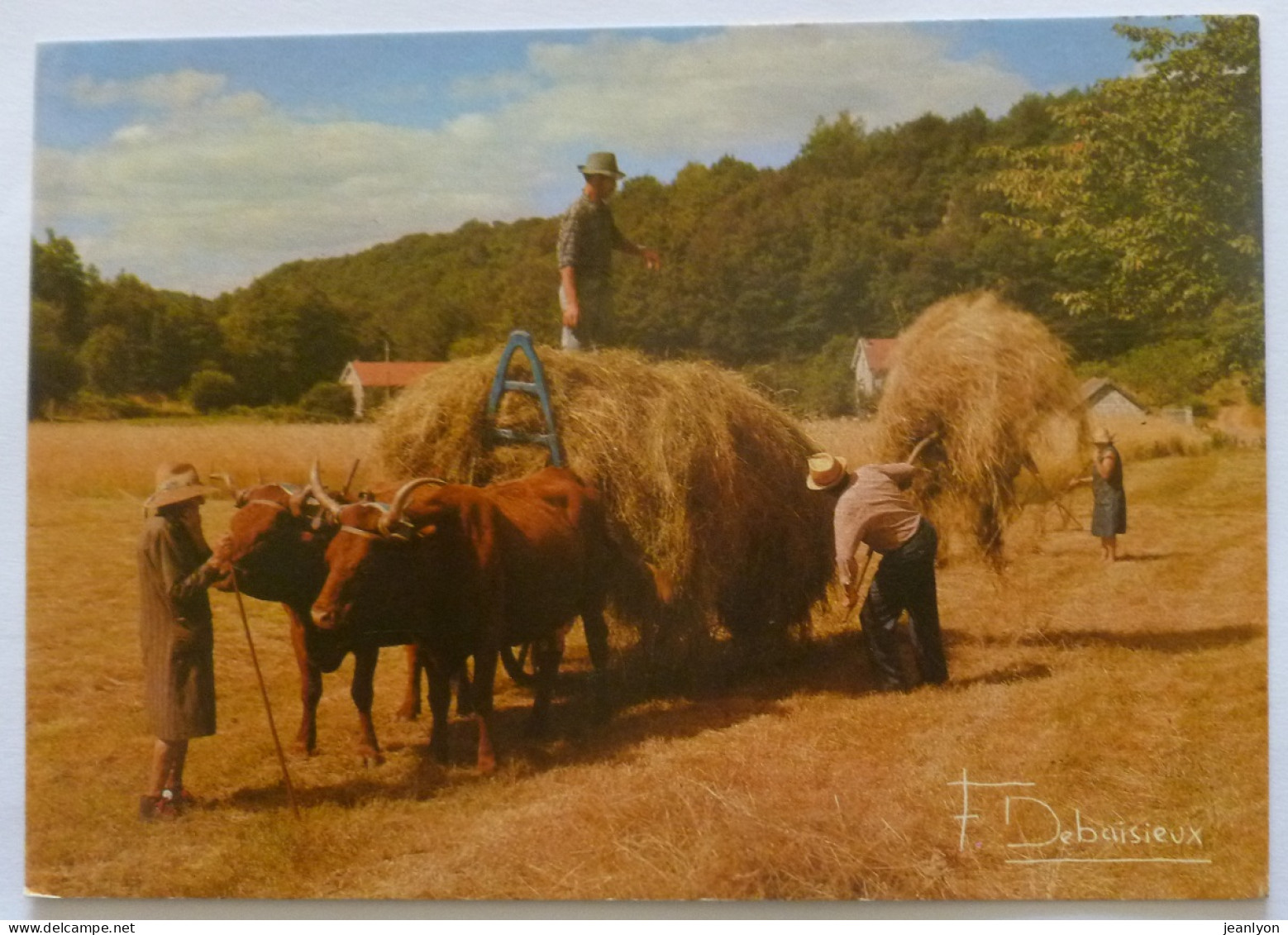 ATTELAGE BOEUF / Transport Du Foin - Travail Dans Les Champs / Agriculture - Paysan - Carte Postale Photo F. DEBAISIEUX - Teams