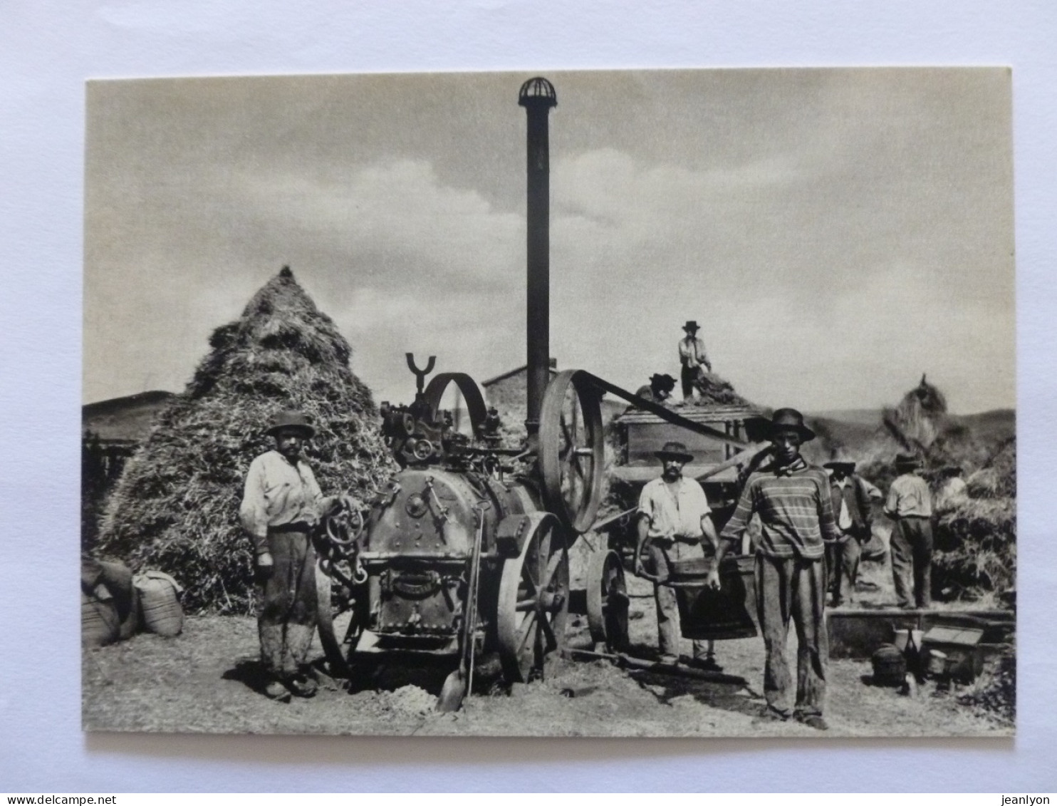 METIER AGRICOLE / BATTEUSE - PAYSANS / AUVERGNE - Carte Postale Moderne - Farmers