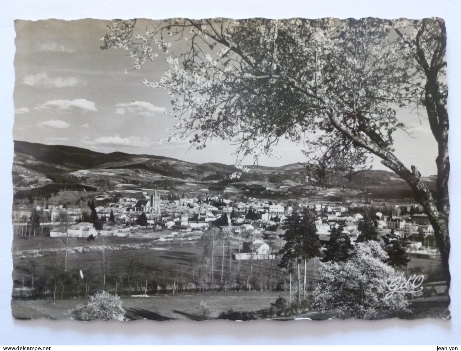 AMBERT (63/Puy De Dôme) - Vue Ouest De La Ville / Eglise , Champs - Ambert