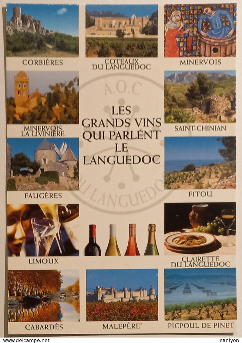 VINS LANGUEDOC / VIGNES - Minervois , Fitou , Limoux , Cabardes , Malepere , Picpoul Pinet ... - Carte Publicitaire - Viñedos