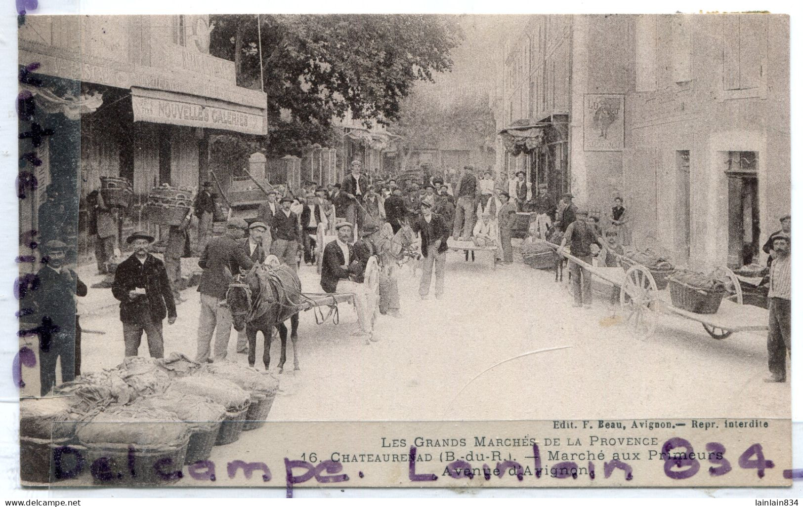 - 16 - CHATEAURENARD - ( B Du R ), Marché Aux Primeurs, Avenue D'Avignon, Attelage, Charrettes, écrite, TTBE, Scans. - Chateaurenard