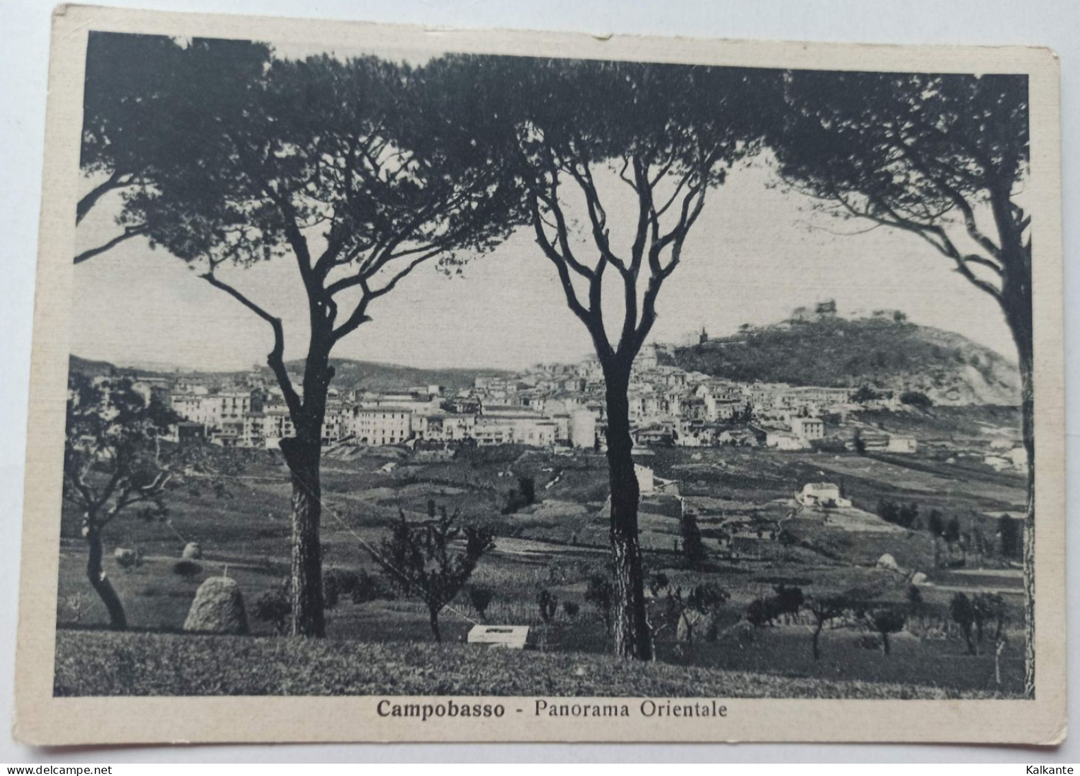 CAMPOBASSO - Panorama Orientale - Campobasso