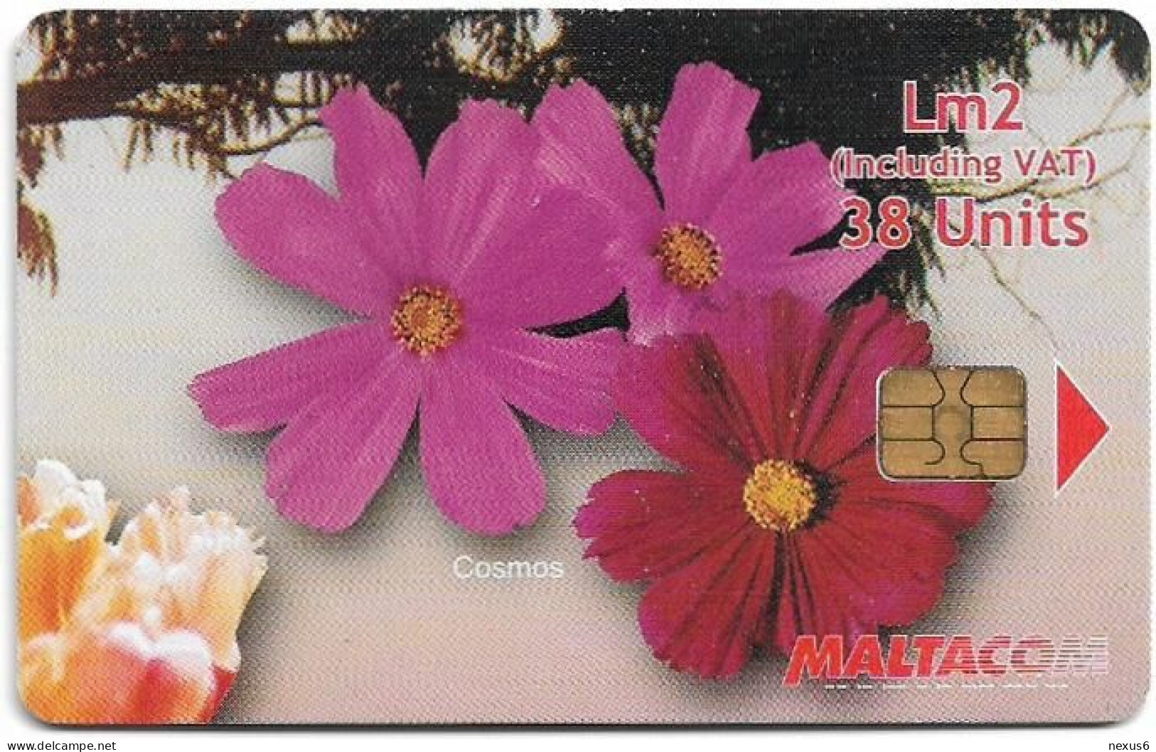 Malta - Maltacom - Flower Cosmos Puzzle 2/4, 09.2006, 38U, 50.000ex, Used - Malte