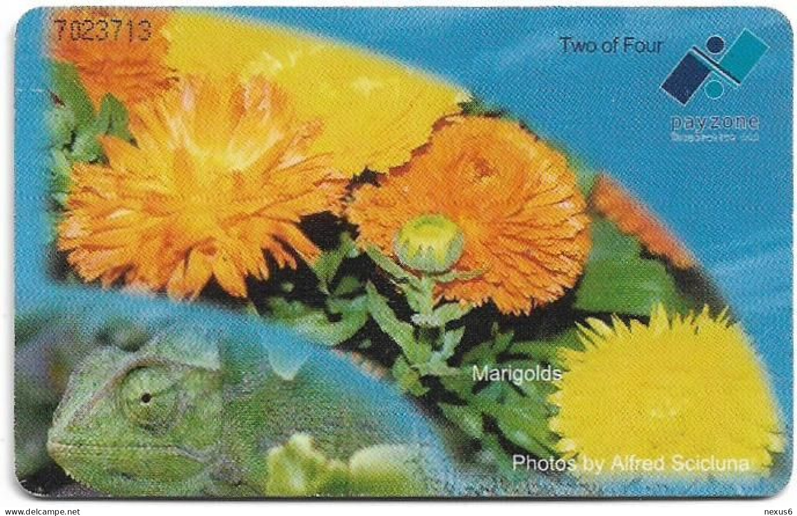 Malta - Maltacom - Flower Cosmos Puzzle 2/4, 09.2006, 38U, 50.000ex, Used - Malta