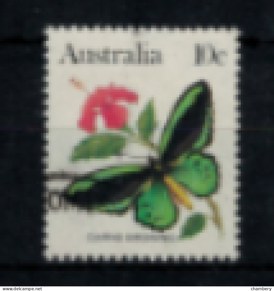 Australie - "Papillon : Ornithopetera" - Oblitéré N° 826 De 1983 - Gebraucht