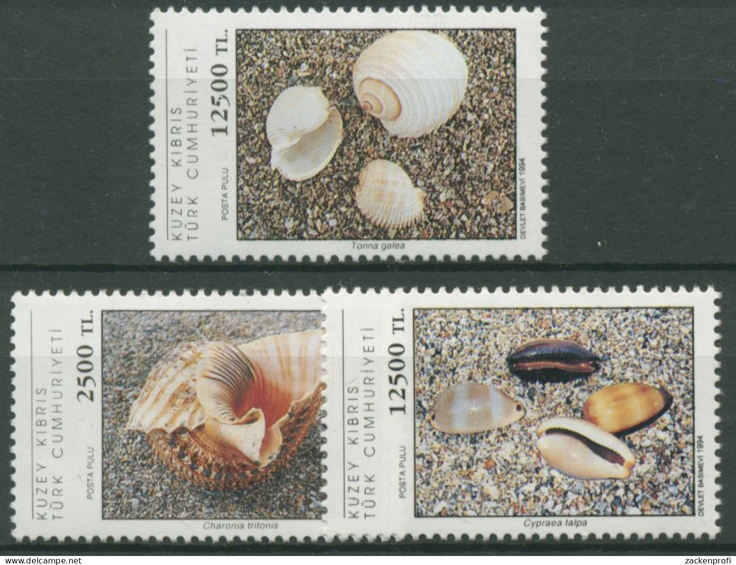 Türkisch-Zypern 1994 Meeresschnecken 387/89 Postfrisch - Ongebruikt