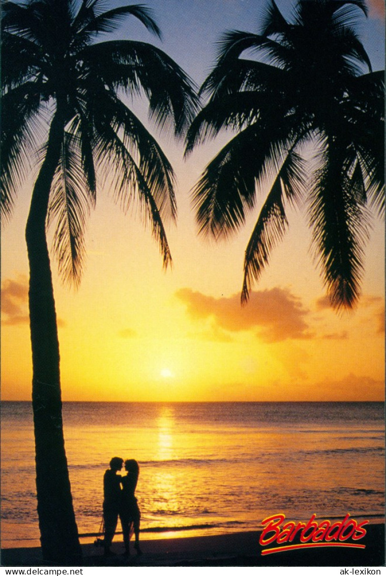 Barbados Allgemein Romantic Sunset Palmen Sonnen-Untergang Barbados Karibik 1990 - Barbados (Barbuda)