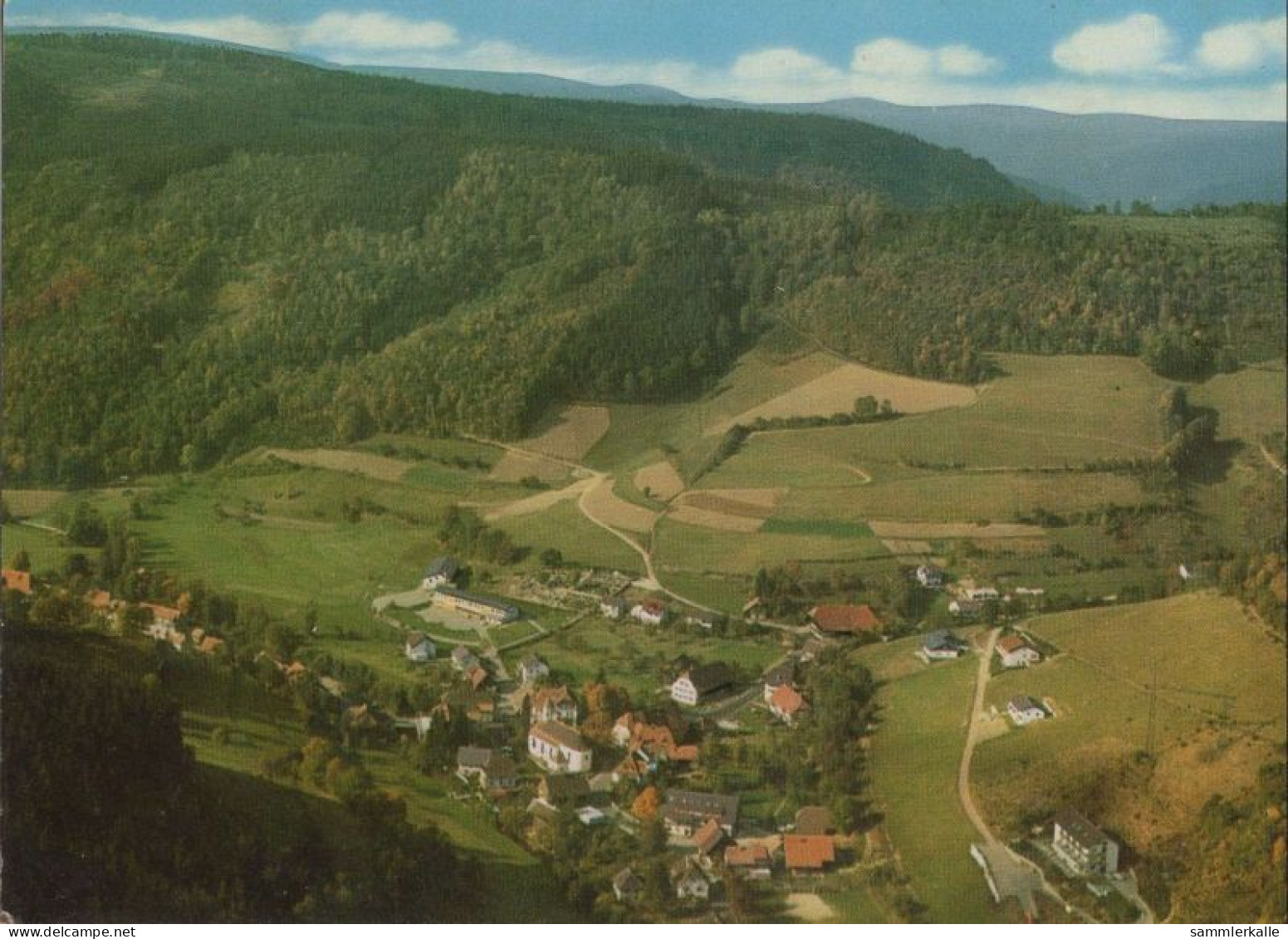 132183 - Elzach-Oberprechtal - Von Oben - Elzach