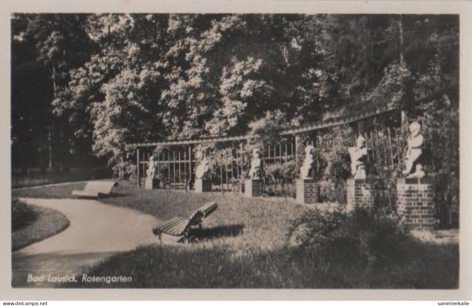 17499 - Bad Lausick - Rosengarten - Ca. 1955 - Bad Lausick