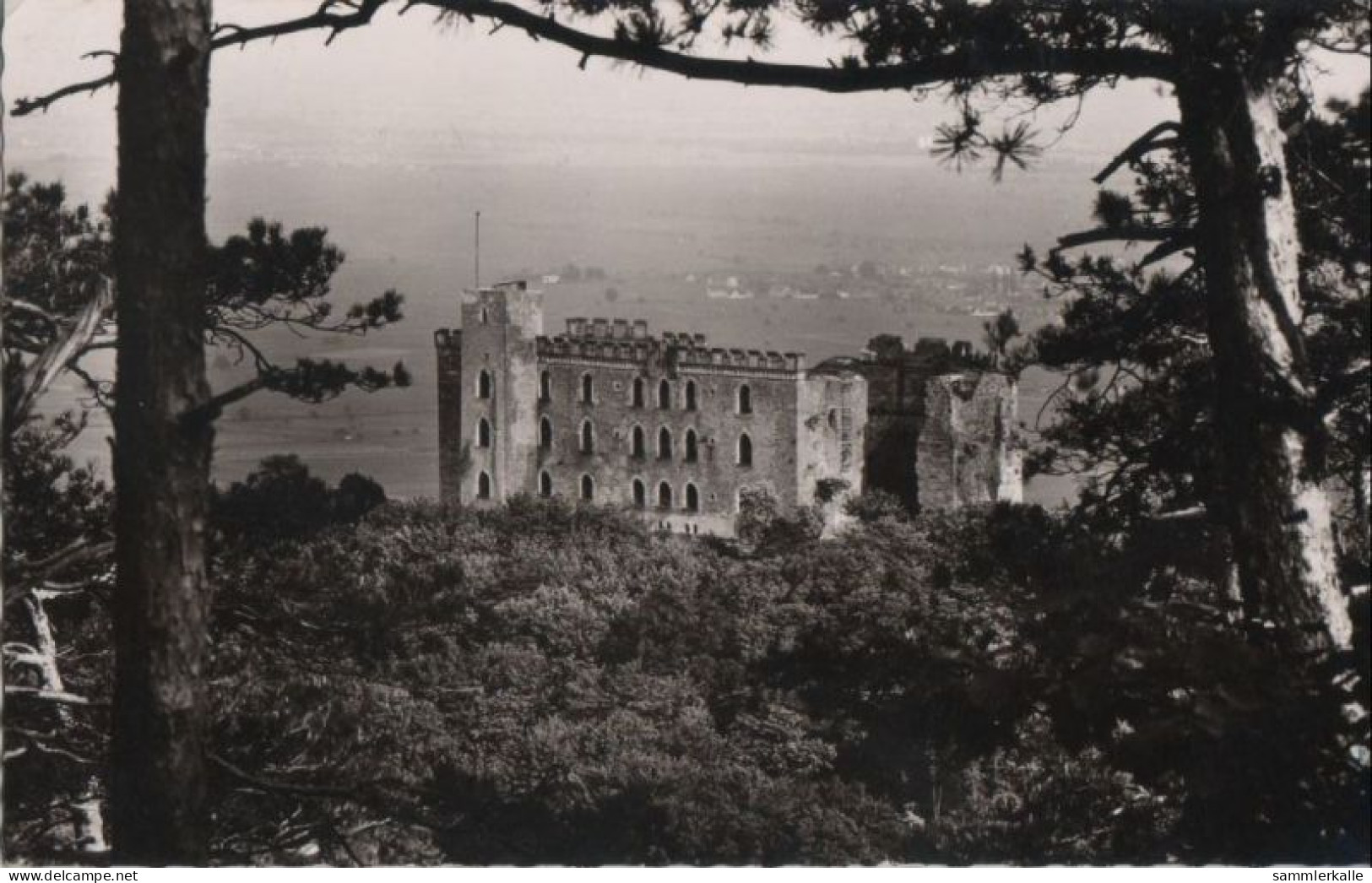 87079 - Neustadt, Hambacher Schloss - Ca. 1960 - Neustadt (Weinstr.)