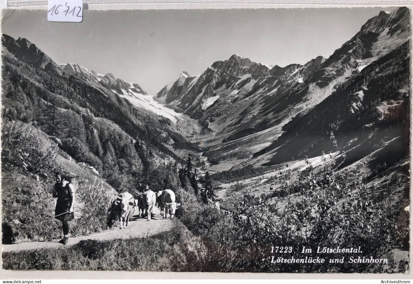 Im Lötschental - Frau Und Kühe (Wallis -Valais) - Lötschenlücke Und Schinhorn (16'712) - Ferden