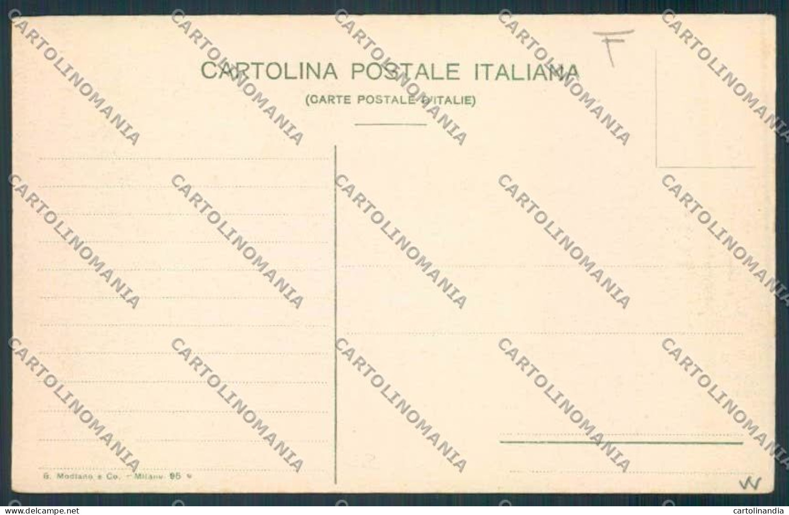 Vibo Valentia Parghelia Terremoto Cartolina MV8837 - Vibo Valentia