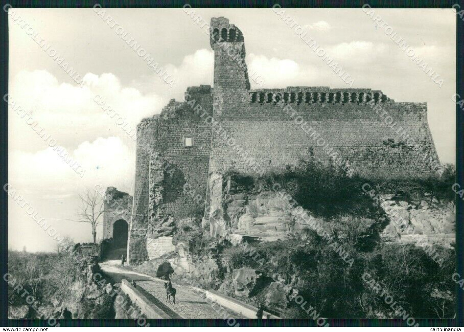 Grosseto Sorano Sovana Foto FG Cartolina KV7999 - Grosseto