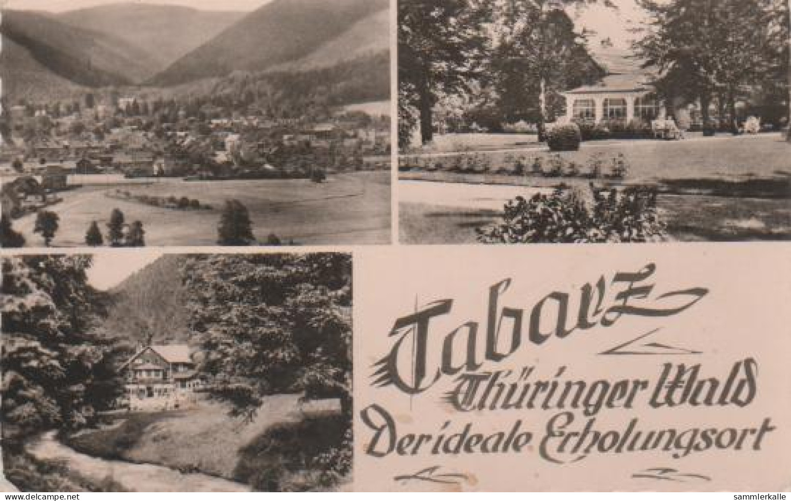 4138 - Tabarz, Thüringer Wald - 1958 - Tabarz