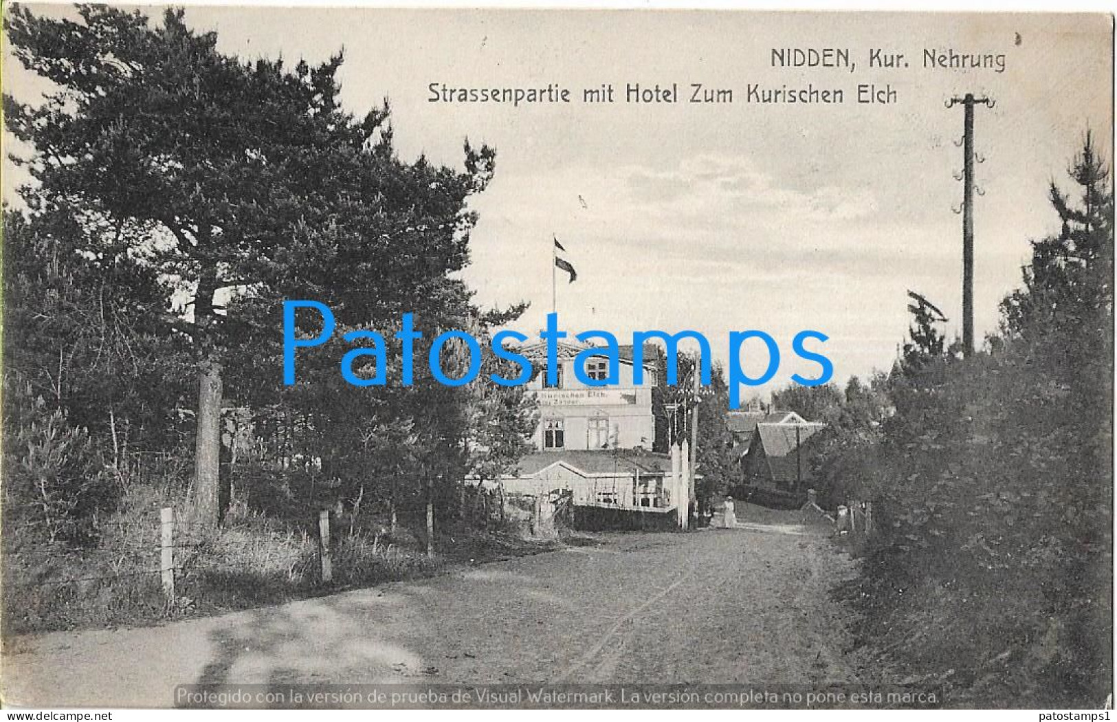 226935 LITHUANIA NIDDEN KURT NEHRUNG STREET PARTY WITH HOTEL TO THE CURONISH MOOSE POSTAL POSTCARD - Lituanie