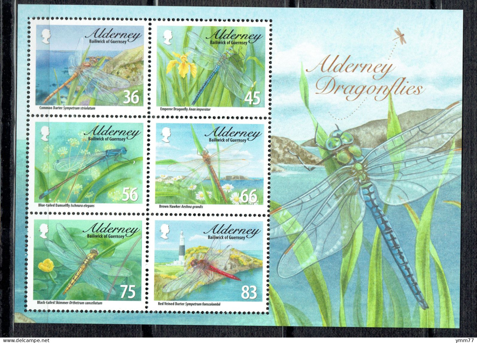 Faune. Insectes : Libellules - Alderney
