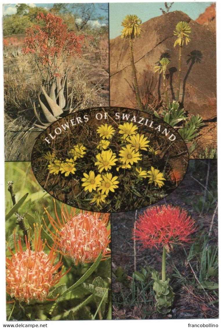 SWAZILAND - FLOWERS / THEMATIC STAMP-BUTTERFLY - Swazilandia