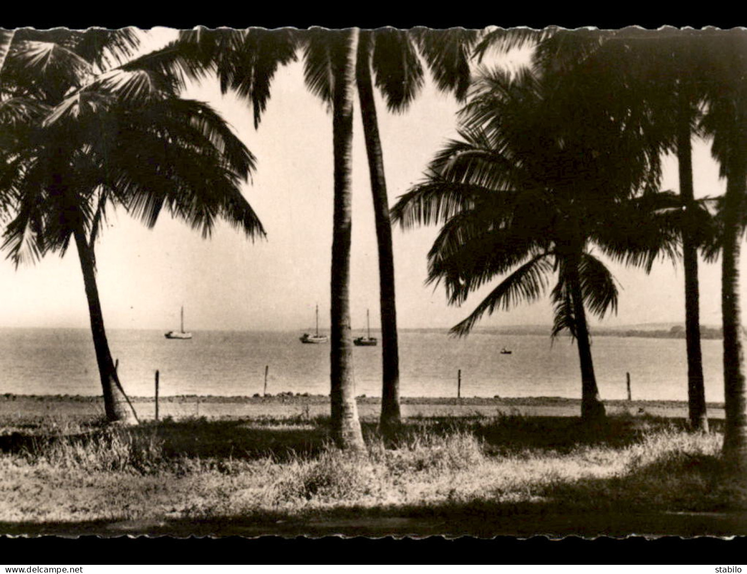 GUINEE - CONAKRY - UNE VUE DE LA CORNICHE - Guinée