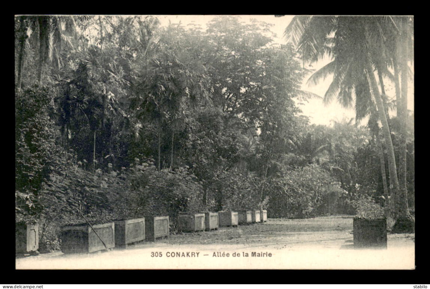 GUINEE - CONAKRY - ALLEE DE LA MAIRIE - Guinea